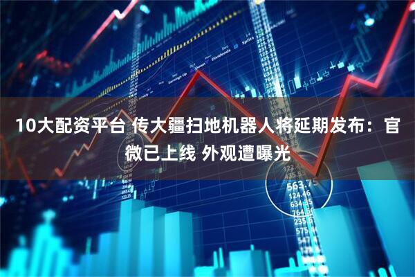 10大配资平台 传大疆扫地机器人将延期发布：官微已上线 外观遭曝光